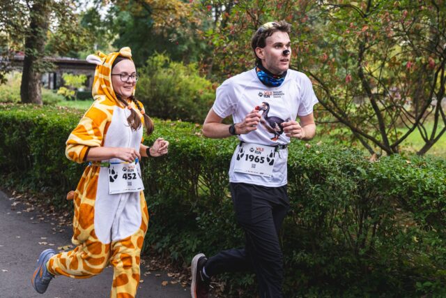 Wild Run 2026 w ZOO Wrocław – zdjęcie 201