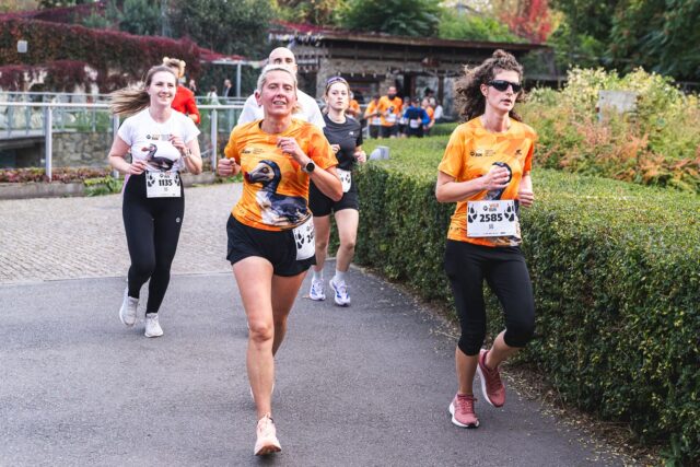 Wild Run 2026 w ZOO Wrocław – zdjęcie 202