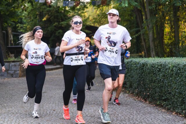 Wild Run 2026 w ZOO Wrocław – zdjęcie 210